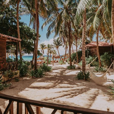 Petit Lafitte Beach Front Hotel & Bungalows Playa del Carmen Exterior photo