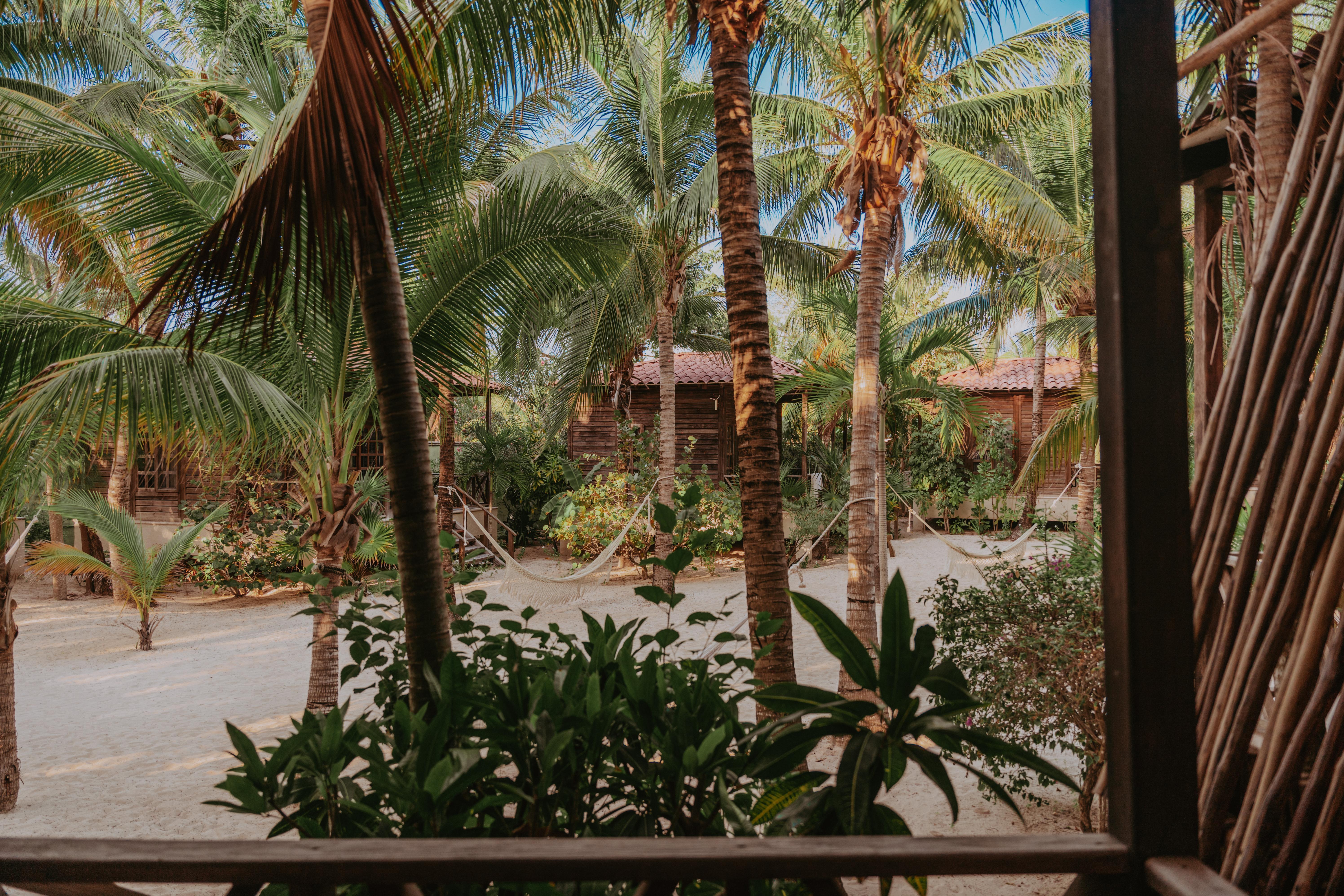 Petit Lafitte Beach Front Hotel & Bungalows Playa del Carmen Exterior photo