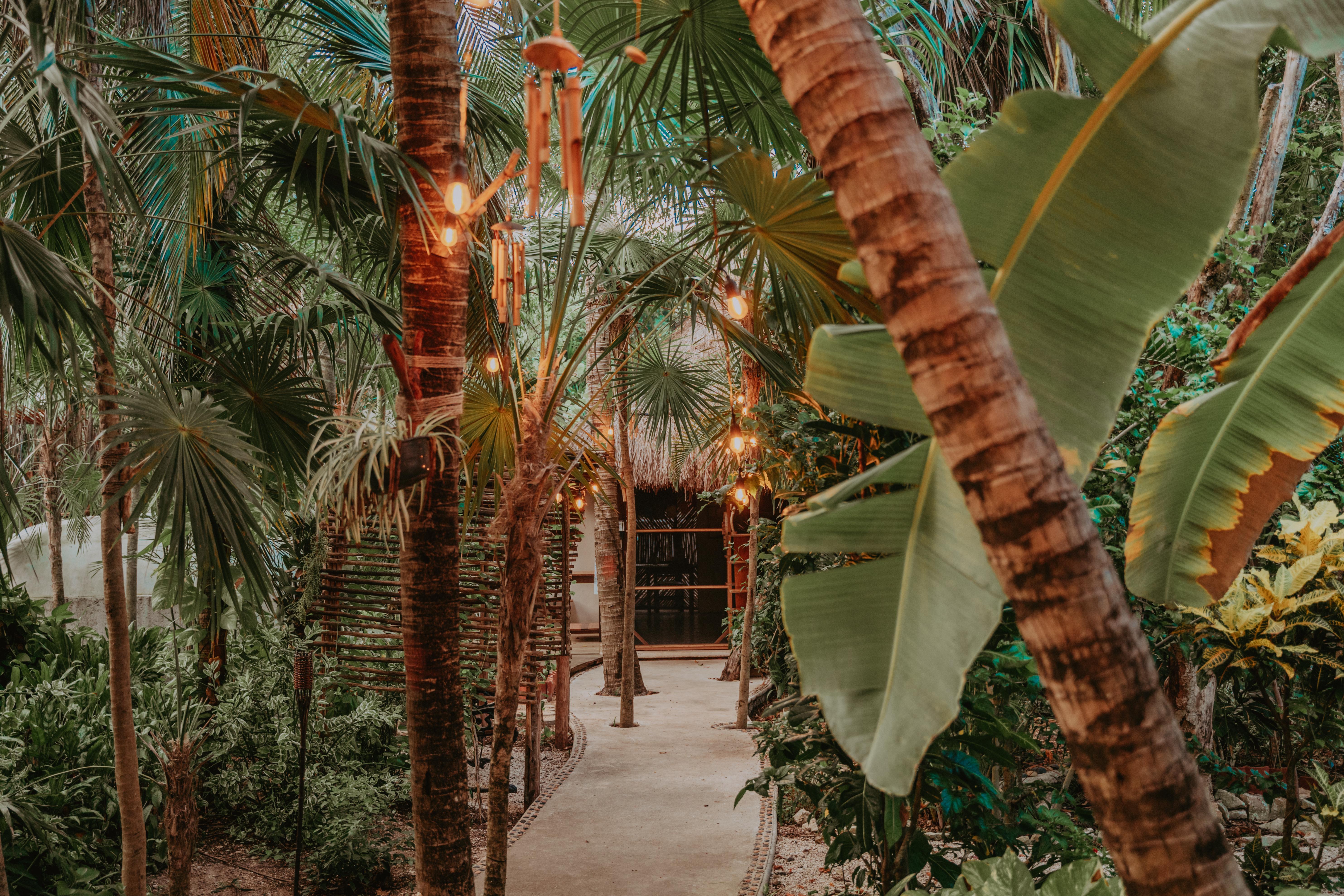 Petit Lafitte Beach Front Hotel & Bungalows Playa del Carmen Exterior photo