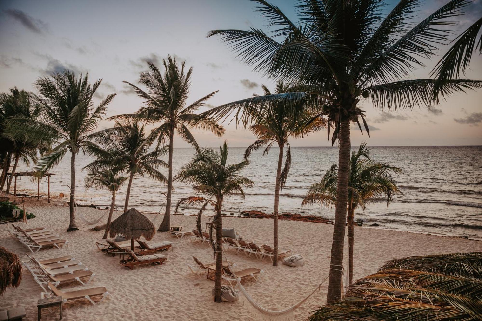 Petit Lafitte Beach Front Hotel & Bungalows Playa del Carmen Exterior photo