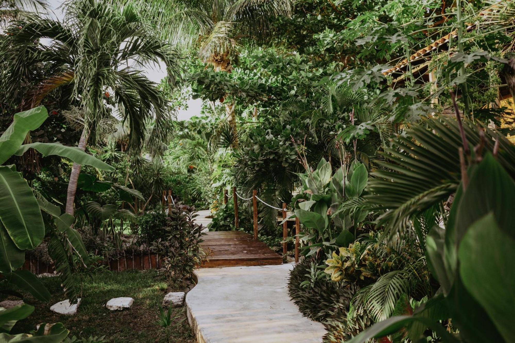 Petit Lafitte Beach Front Hotel & Bungalows Playa del Carmen Exterior photo